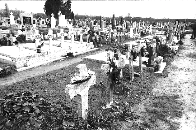 bezdni_temet_az_1944ben_kivgzettek_sora_1993_01_27-01.jpg
