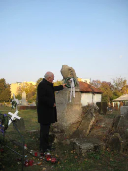 Magyar-szerb akadémiai bizottság
                                        
