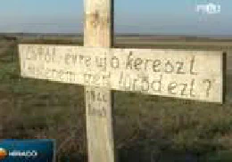 Rehabilitációs perek
                                        